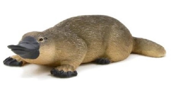 پلاتیپوس - 387106 - فیگور - سبز / Mojo