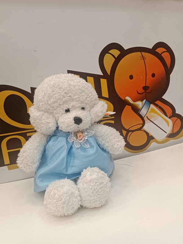 سگ cm 35 - فرفری دختر - لباس دار - پولیش /