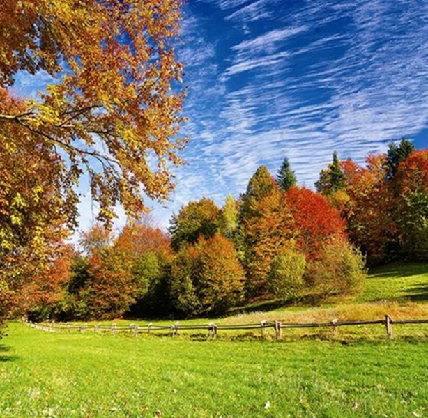 پازل پاییز و محیط 2000 قطعه کد 27073 - Trefl