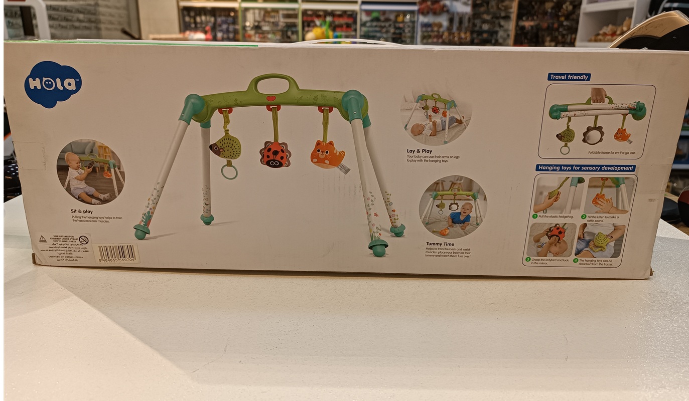 پلی جیم جغجغه دار - E 288 -هولی تویز / Hola