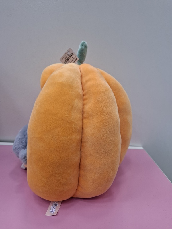 سگ و گربه کدو حلوایی 24cm - پولیش /